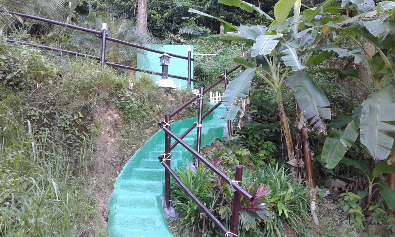 Feng Shui House Guest house
